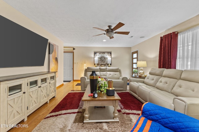 7211 Ghiradelli Rd, Knoxville, TN 37918 - photo 16