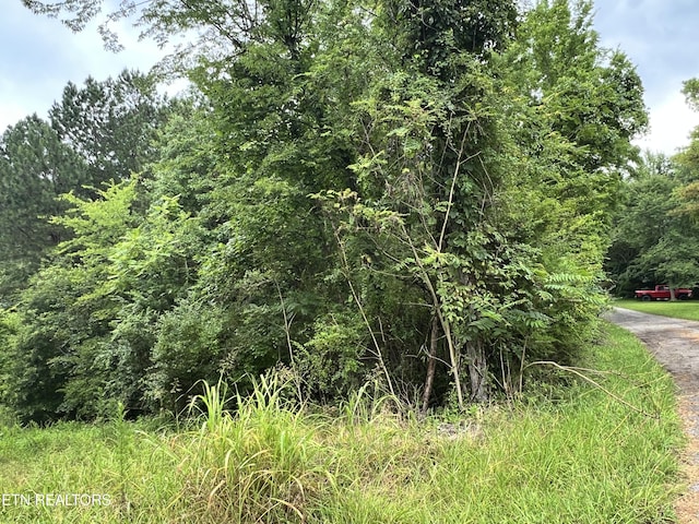 Wiley Prigmore Ln, Decatur, TN 37322