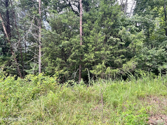 Wiley Prigmore Ln, Decatur, TN 37322