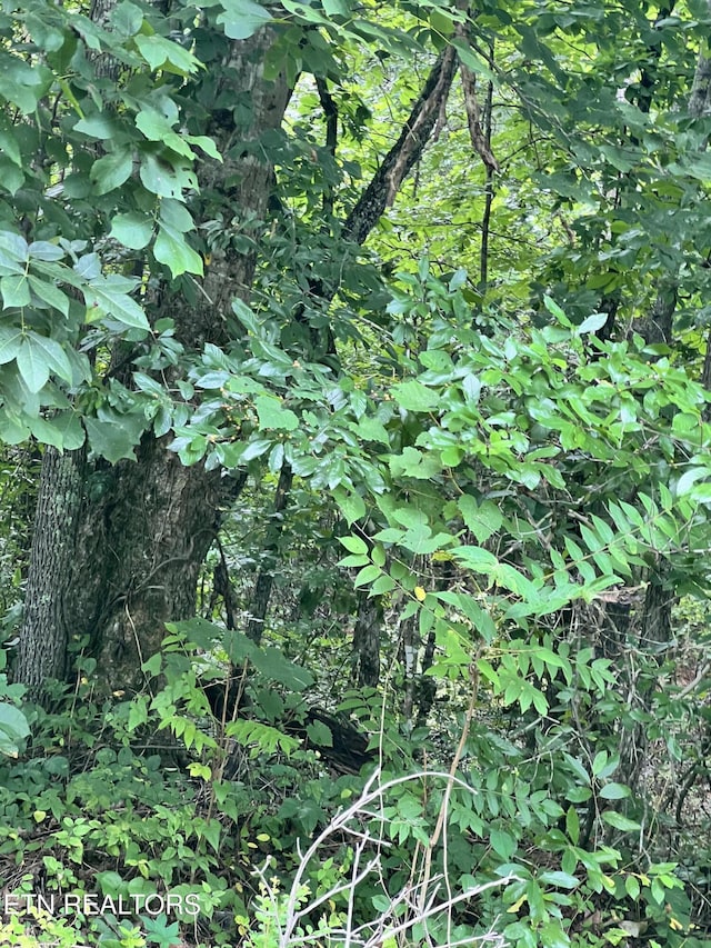 Wiley Prigmore Ln, Decatur, TN 37322