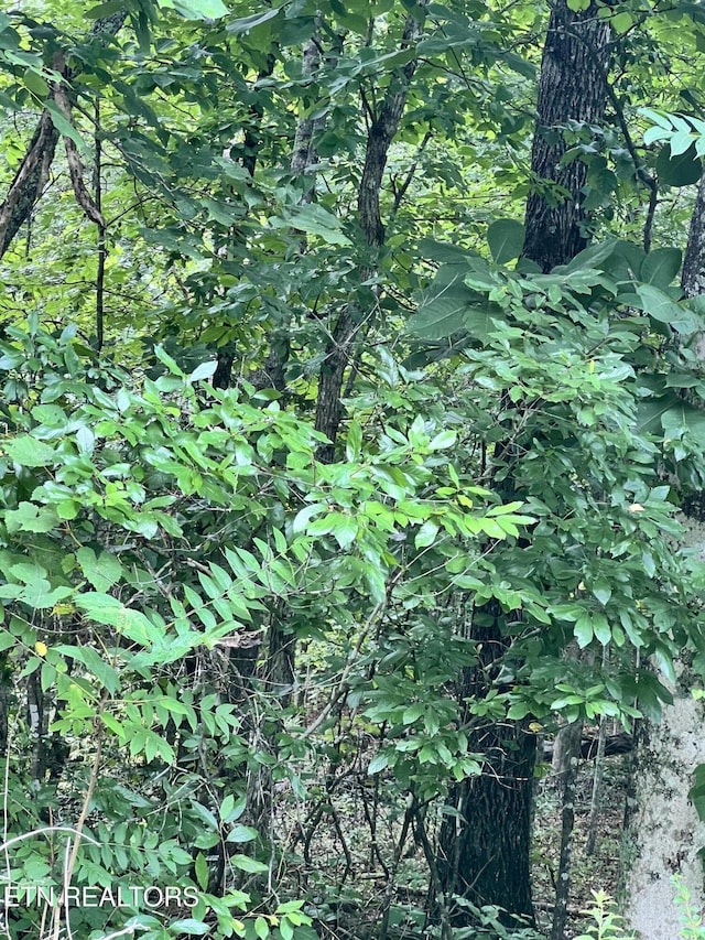 Wiley Prigmore Ln, Decatur, TN 37322
