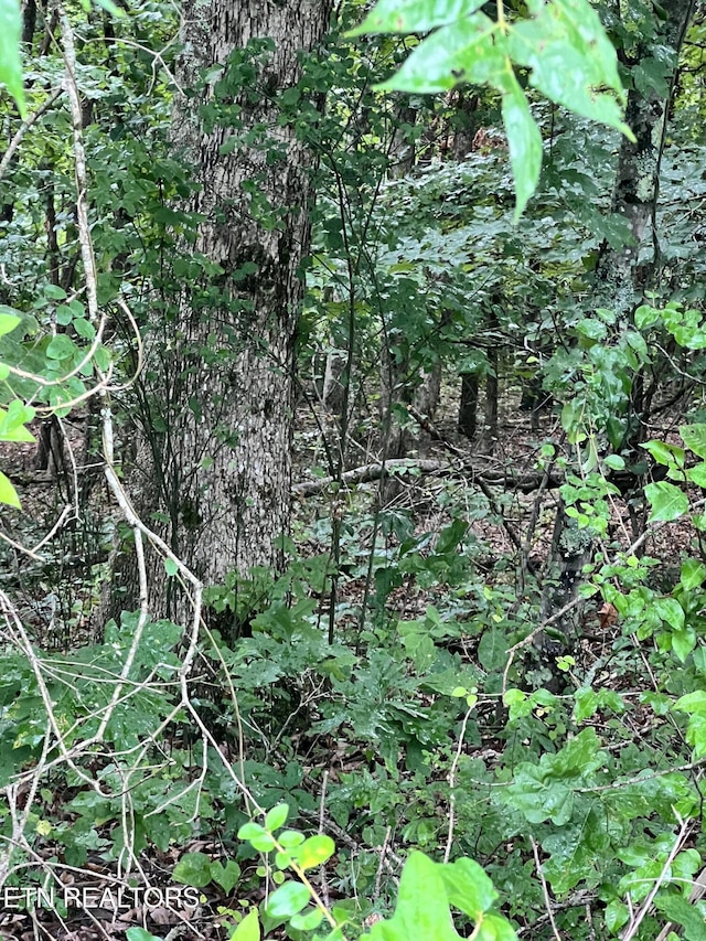 Wiley Prigmore Ln, Decatur, TN 37322