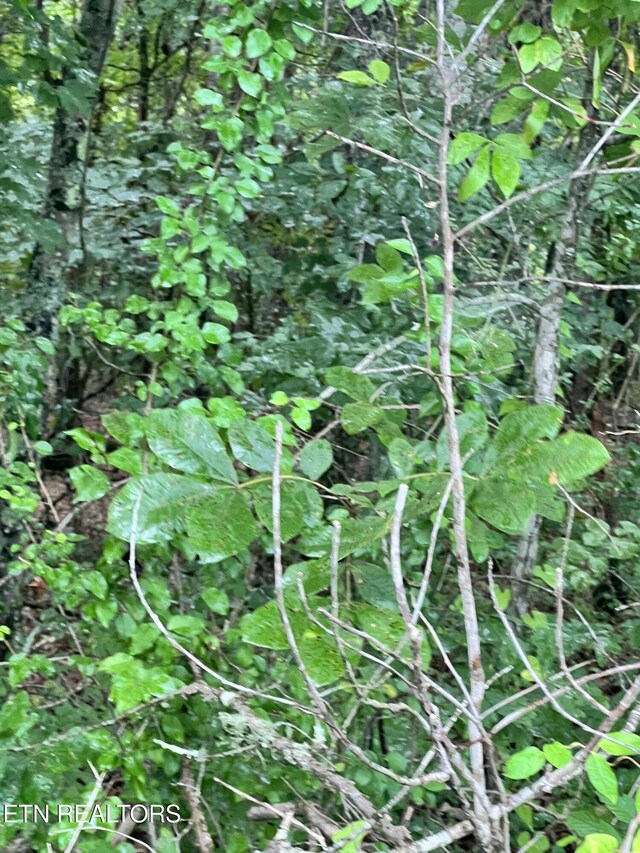 Wiley Prigmore Ln, Decatur, TN 37322
