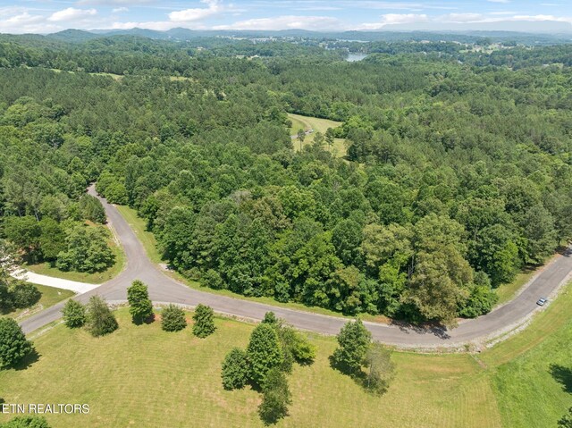 0 Wilderness Dr, Vonore, TN 37885 - photo 4