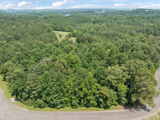0 Wilderness Dr, Vonore, TN 37885 - photo 5