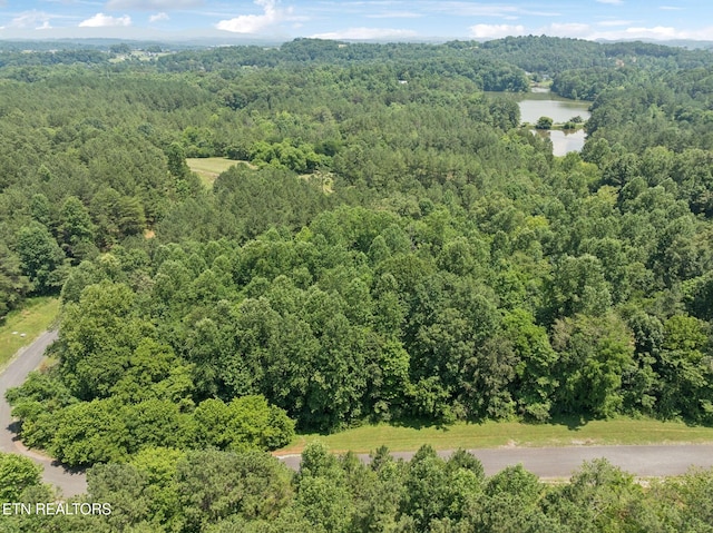 0 Wilderness Dr, Vonore, TN 37885 - photo 6