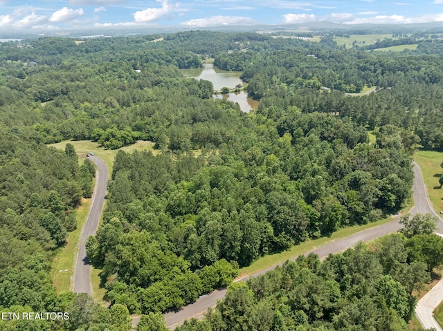 0 Wilderness Dr, Vonore, TN 37885 - photo 7