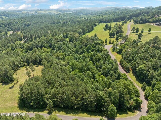 0 Wilderness Dr, Vonore, TN 37885 - photo 8