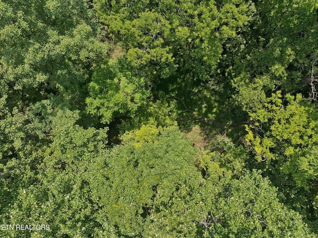 0 Wilderness Dr, Vonore, TN 37885 - photo 9