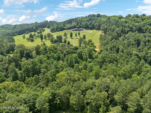 0 Wilderness Dr, Vonore, TN 37885 - photo 11
