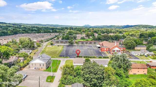 4815 Rowan Rd, Knoxville, TN 37912 - photo 40