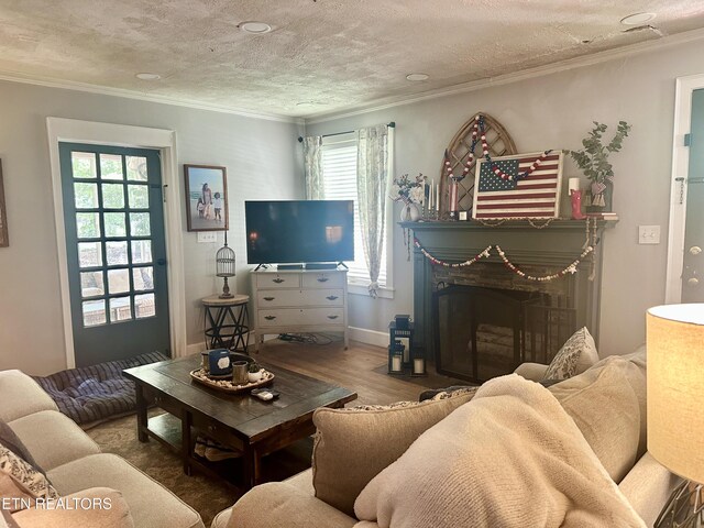 124 S Maple St, Maryville, TN 37803 - photo 4