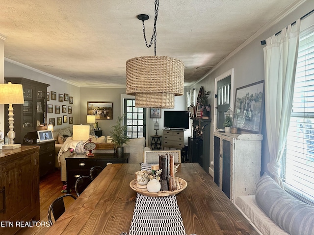 124 S Maple St, Maryville, TN 37803 - photo 6