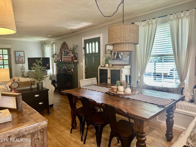 124 S Maple St, Maryville, TN 37803 - photo 7