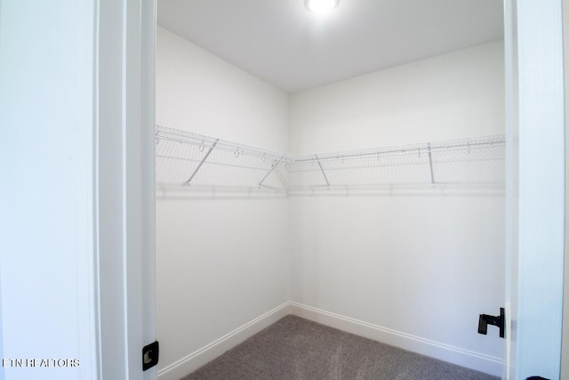 205 Pistol Creek Trl, Maryville, TN 37803 - photo 20