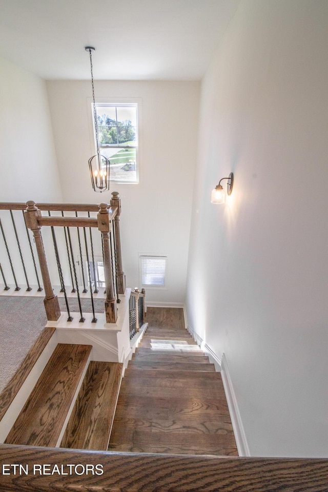 205 Pistol Creek Trl, Maryville, TN 37803 - photo 30