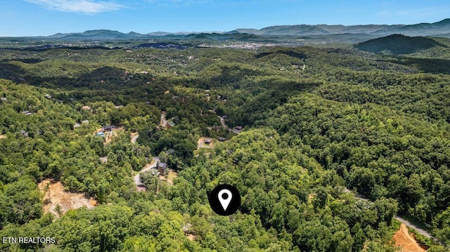 1620 Bear Valley Rd, Sevierville, TN 37876 - photo 10