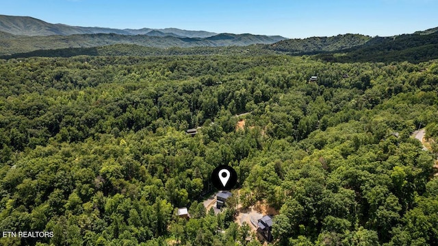 1620 Bear Valley Rd, Sevierville, TN 37876 - photo 11