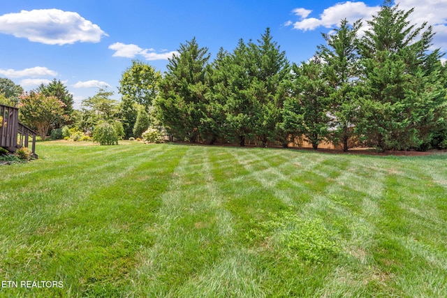 10021 Noah Ln, Knoxville, TN 37932 - photo 41