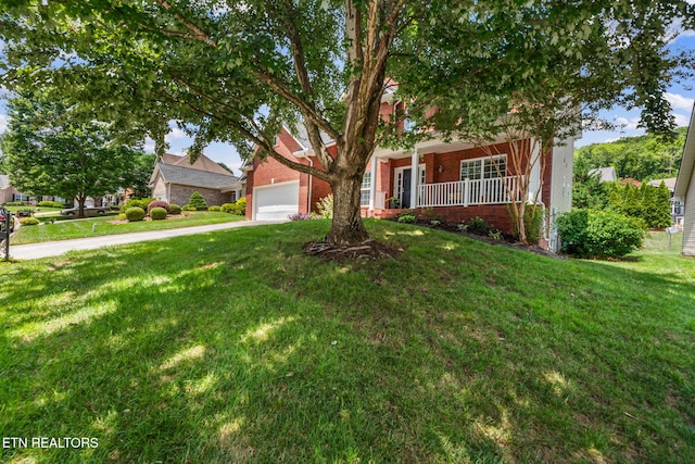 10021 Noah Ln, Knoxville, TN 37932 - photo 4