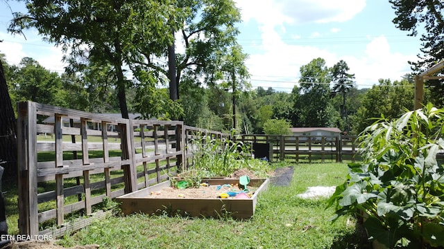 9615 Smoky Row Rd, Strawberry Plains, TN 37871 - photo 23