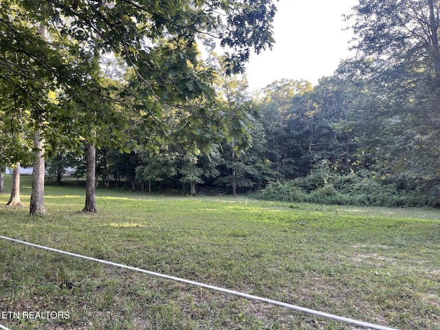 Leffle Webb Rd Unit 5.1, Acres, Crossville, TN 38572 - photo 3