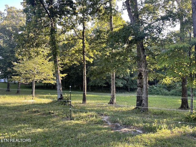 Leffle Webb Rd Unit 5.1, Acres, Crossville, TN 38572 - photo 4