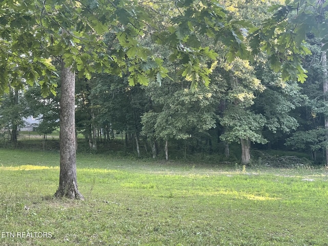 Leffle Webb Rd Unit 5.1, Acres, Crossville, TN 38572 - photo 6