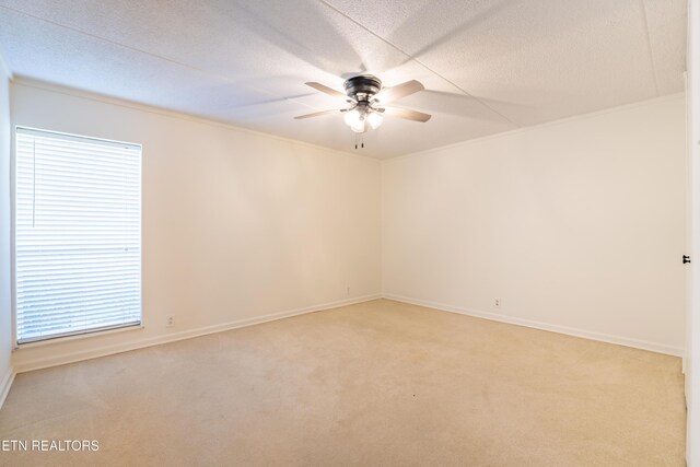 500 Berlin Dr Unit B169, Knoxville, TN 37923 - photo 19