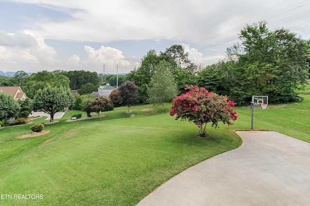 5501 Kesterbrooke Blvd, Knoxville, TN 37918 - photo 4