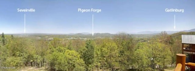 3209 Engle Town Rd, Sevierville, TN 37862 - photo 4
