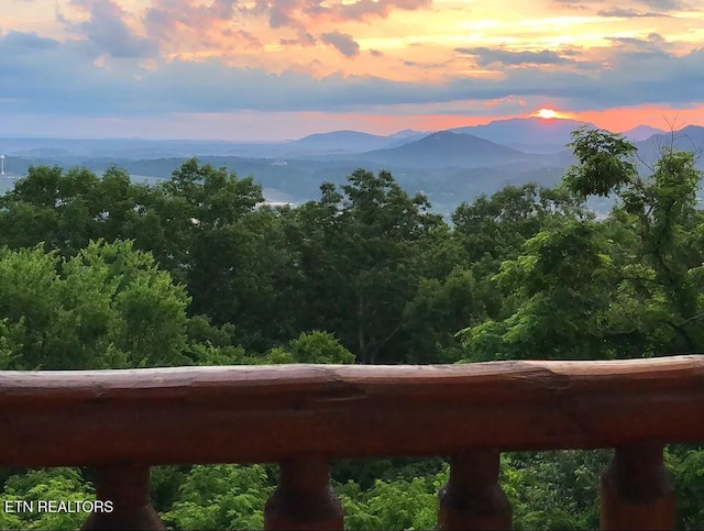 3209 Engle Town Rd, Sevierville, TN 37862 - photo 2