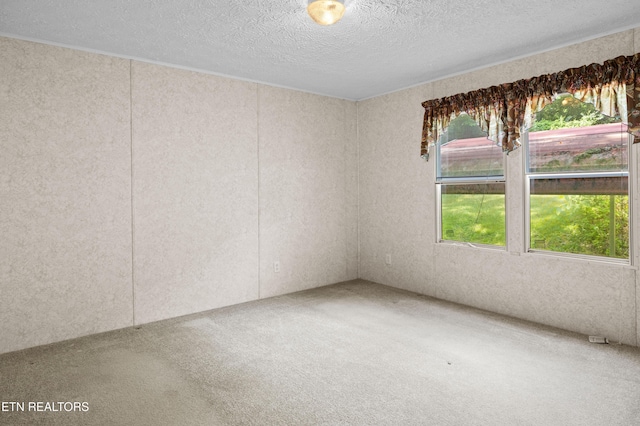 2308 Woods Smith Rd, Knoxville, TN 37921 - photo 22