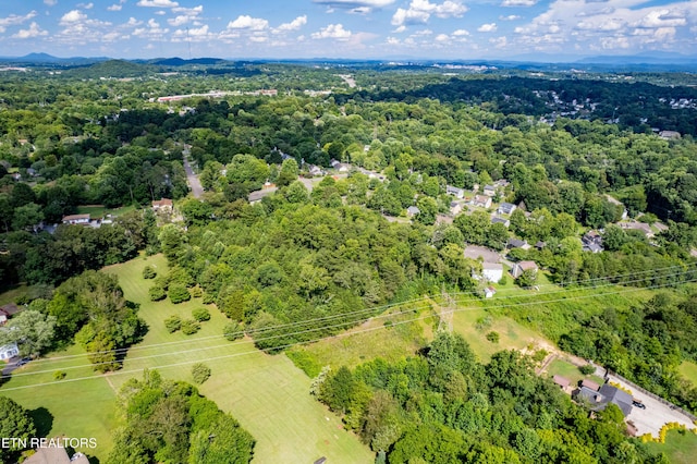 2308 Woods Smith Rd, Knoxville, TN 37921 - photo 47