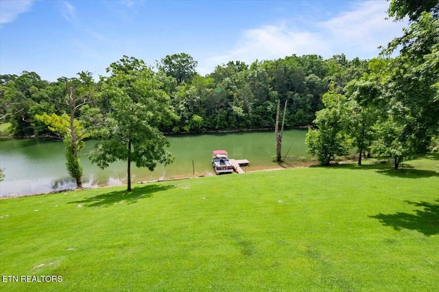 203 Wagon Ln, Speedwell, TN 37870 - photo 4