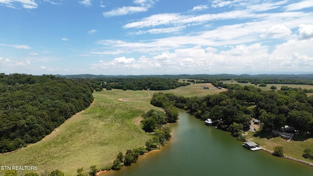 3831 Gravelly Hills Rd, Louisville, TN 37777 - photo 12