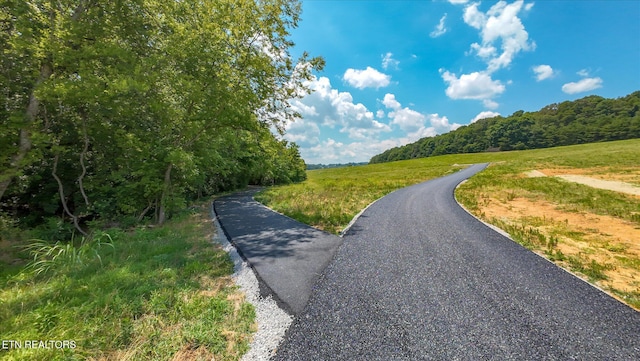 3831 Gravelly Hills Rd, Louisville, TN 37777 - photo 13