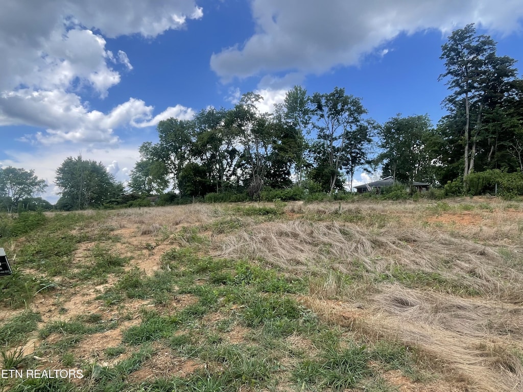 Russell Cir, Morristown, TN 37813 - photo 3