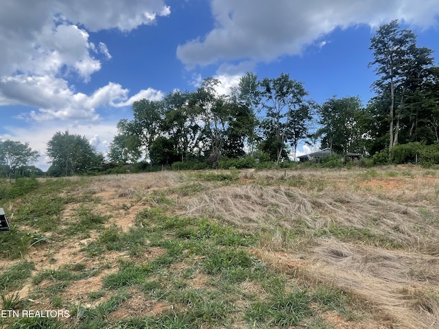 Russell Cir, Morristown, TN 37813 - photo 3