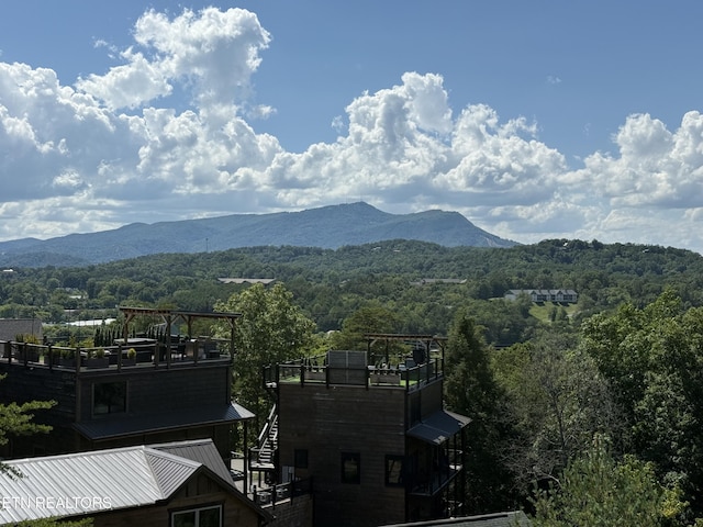 323 Silver Stone Way, Pigeon Forge, TN 37863 - photo 7