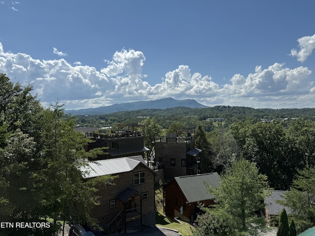 323 Silver Stone Way, Pigeon Forge, TN 37863 - photo 8