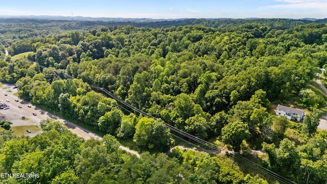 12846 Chapman Hwy, Seymour, TN 37865 - photo 43