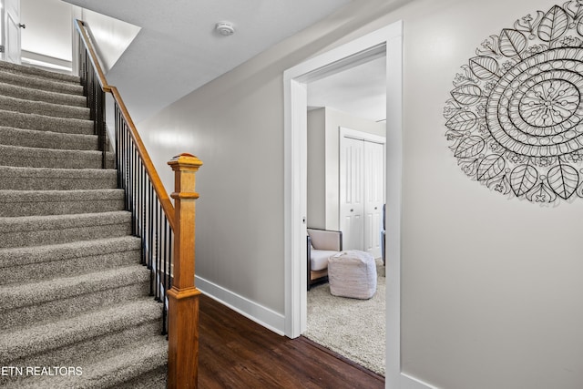 2805 Mint Rd, Maryville, TN 37803 - photo 13