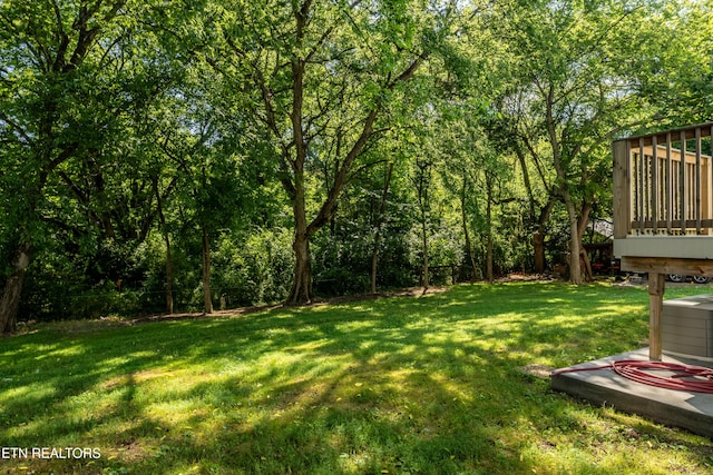 2805 Mint Rd, Maryville, TN 37803 - photo 37