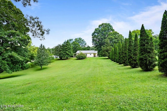 111 Hilltop Rd, Lafollette, TN 37766 - photo 3