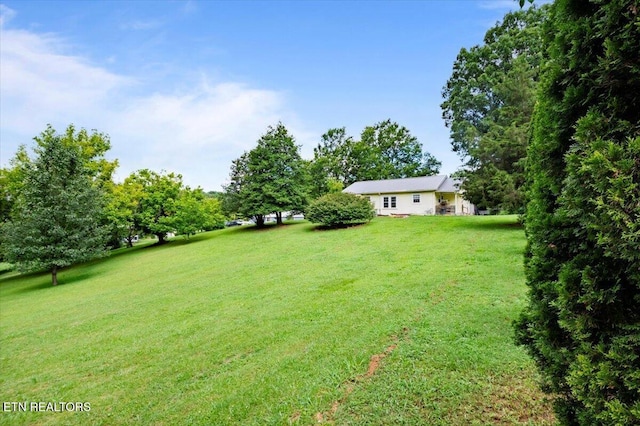 111 Hilltop Rd, Lafollette, TN 37766 - photo 37