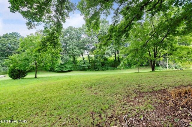 111 Hilltop Rd, Lafollette, TN 37766 - photo 38