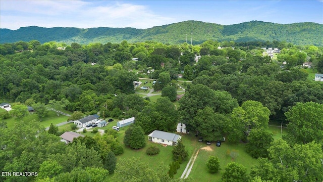 111 Hilltop Rd, Lafollette, TN 37766 - photo 43