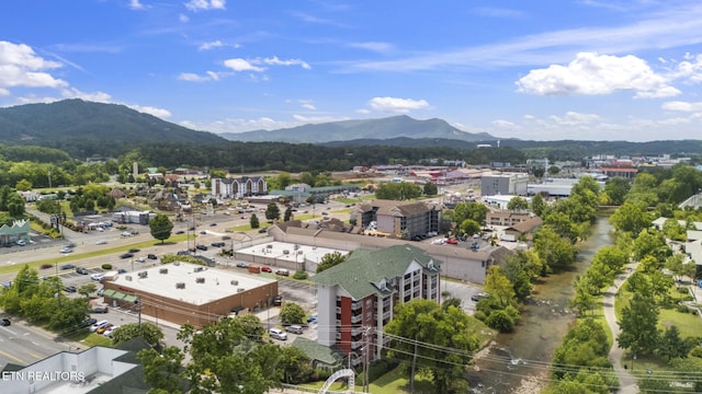 111 Jake Thomas Rd Unit 202, Pigeon Forge, TN 37863 - photo 22