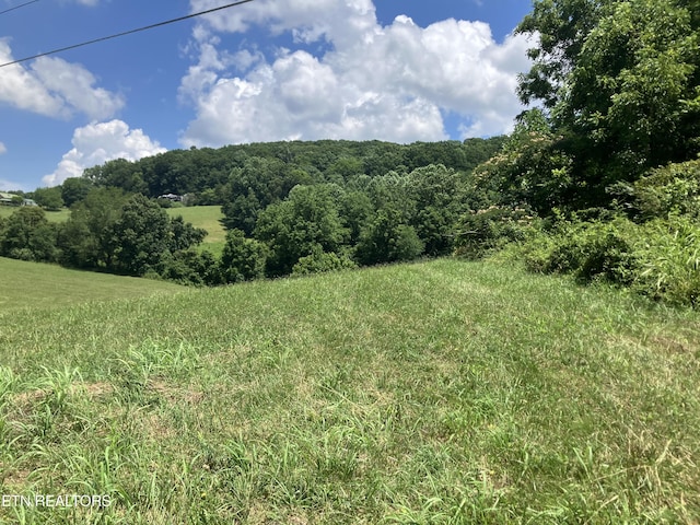 Harmon Rd, New Tazewell, TN 37825 - photo 2